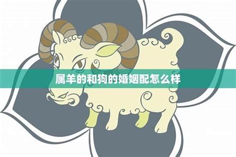 羊狗配|属羊和属狗的相配吗 属羊和属狗的合得来吗